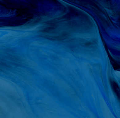What we do banner
